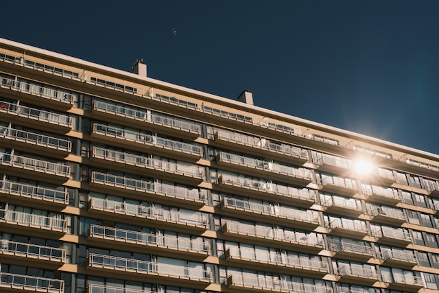 Photograph 2 by Frans Leys